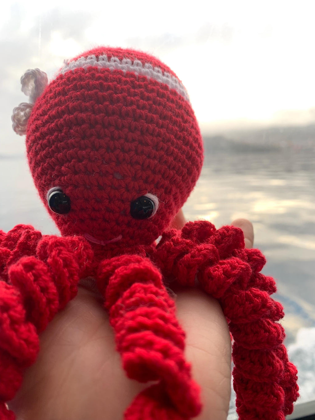 Pulpo Ría de Vigo