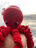 Pulpo Ría de Vigo