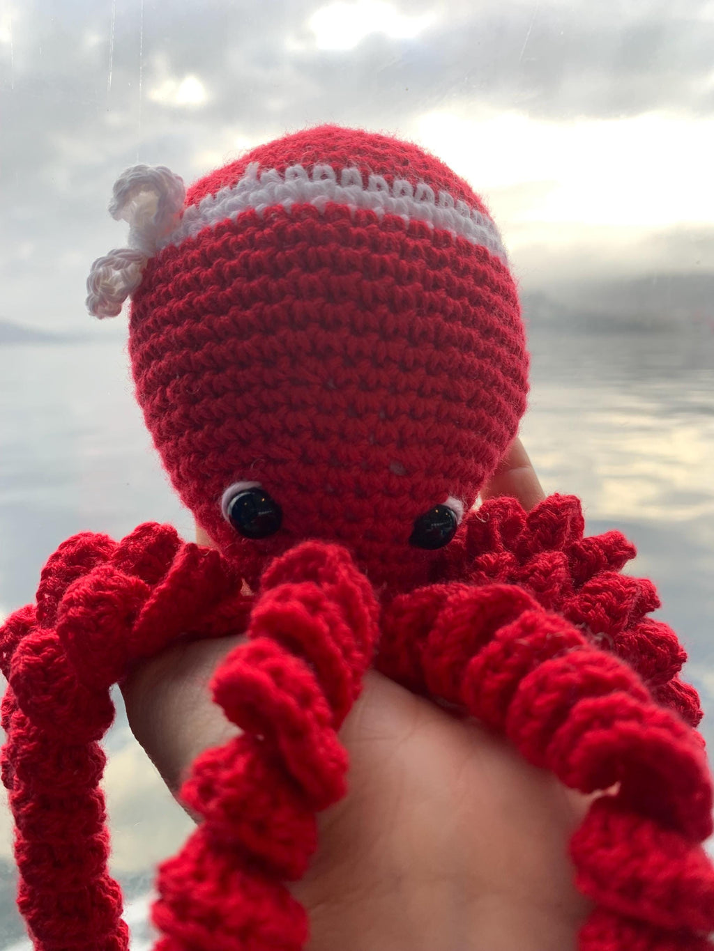 Pulpo Ría de Vigo