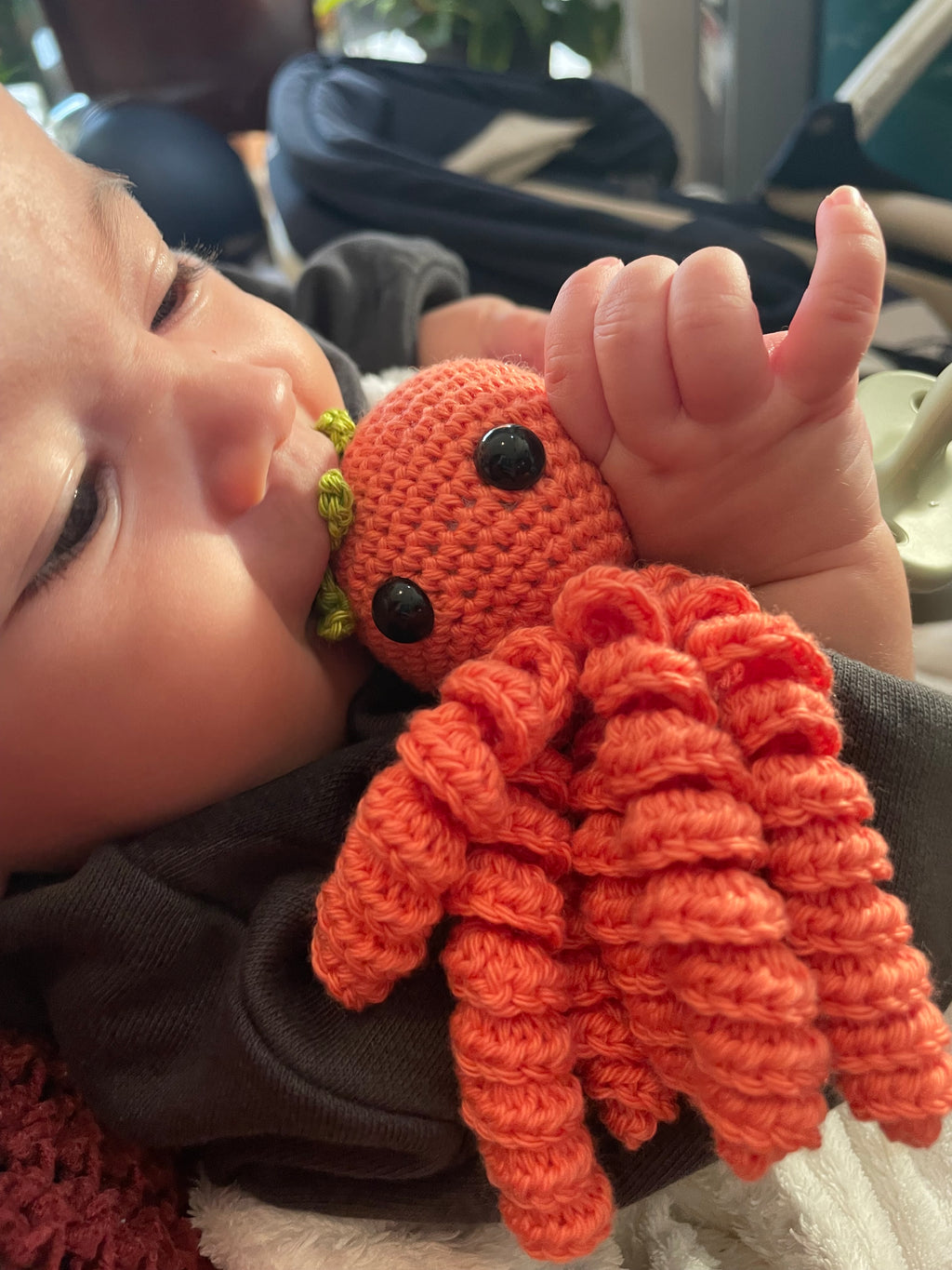 Pulpo baby
