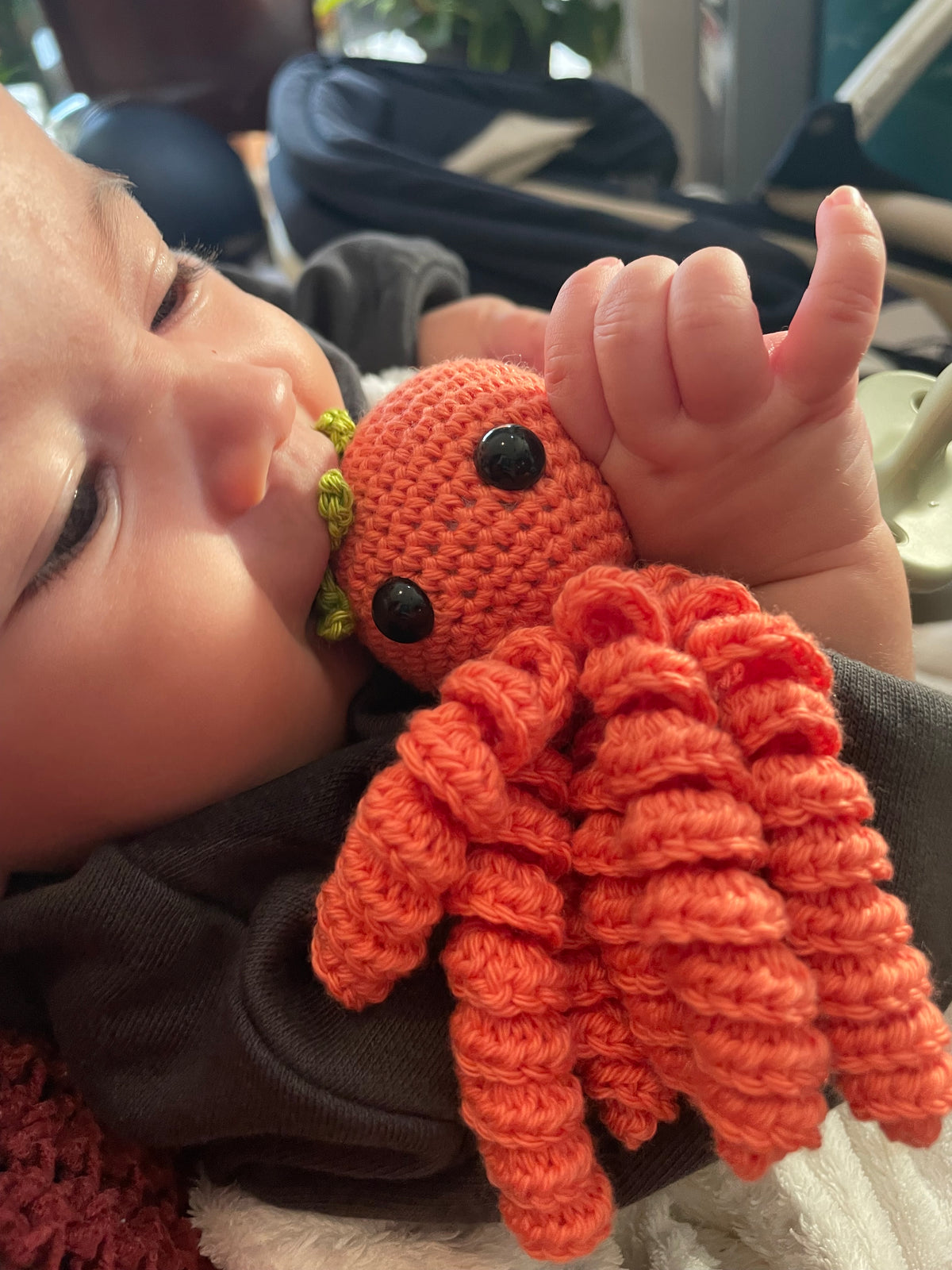 Pulpo baby