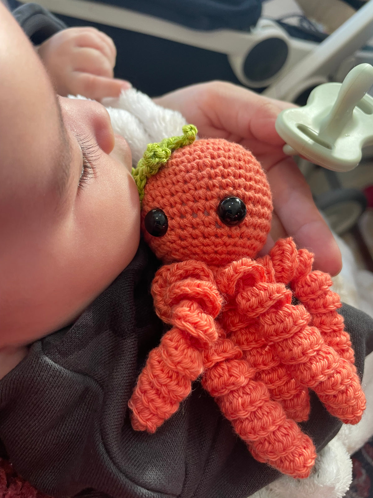 Pulpo baby