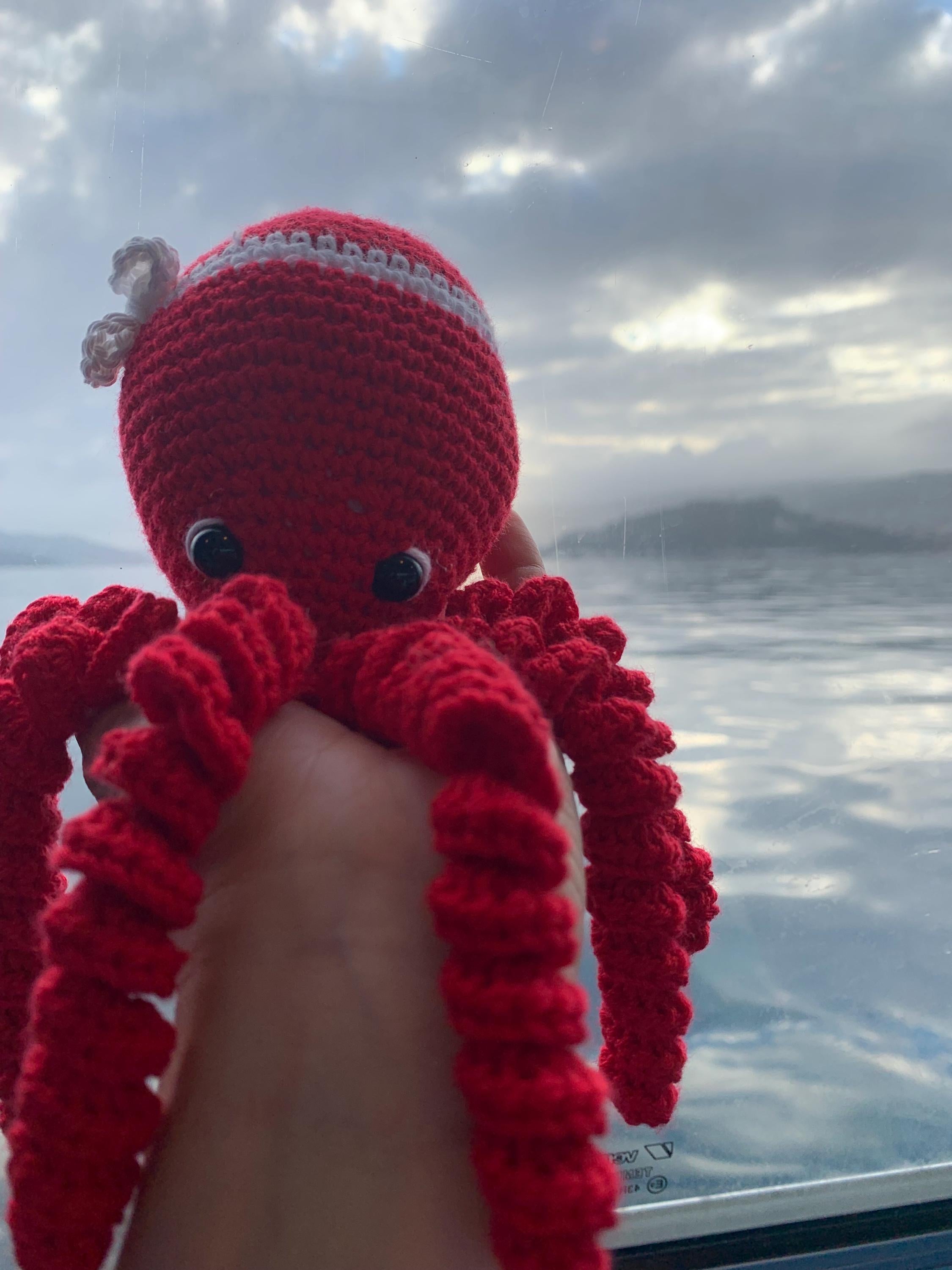 Pulpo Ría de Vigo